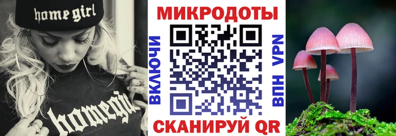 Галлюциногенные грибы мицелий mega как зайти Гусиноозёрск